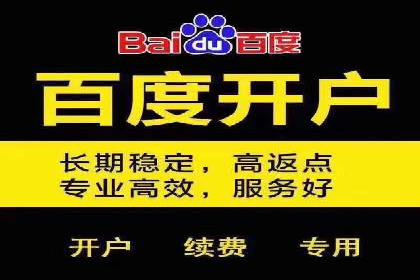 深度解析：百度推广费用与ROI的关联案例
